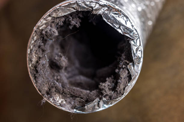 Best Air Duct Sanitizing Services  in Schoolcraft, MI